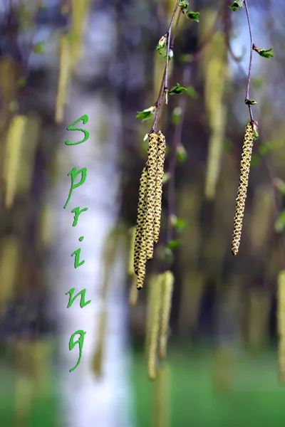 Temporada de primavera — Fotografia de Stock