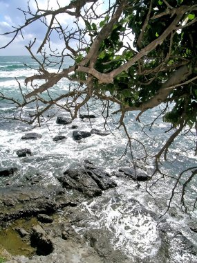 Bulgaristan deniz İskelesi