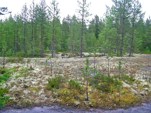 Lanskap Zalavruga — Stok Foto