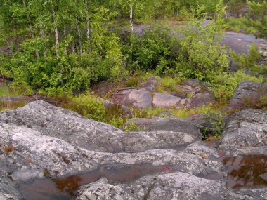 Vahşi Zalavruga manzara, Rusya Federasyonu