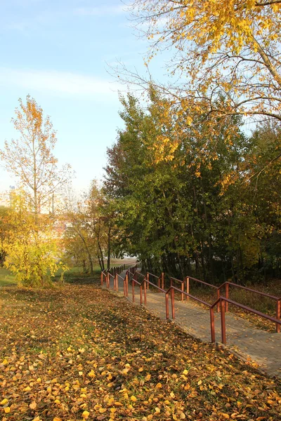 Goldener Herbst im Park — Stockfoto