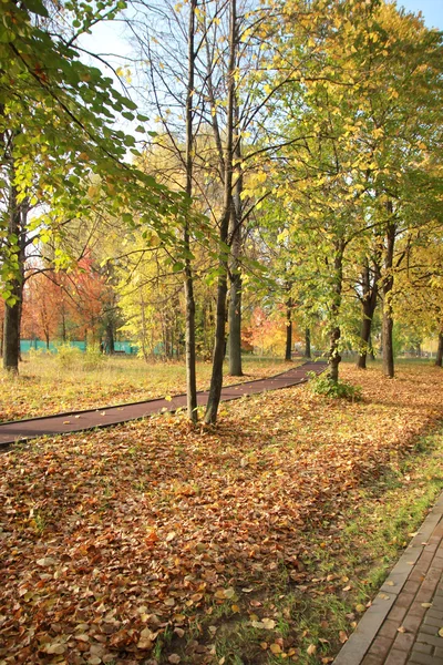 Promenade dans le parc en automne — Photo