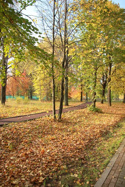 Sonbaharda parkta yürüyüş