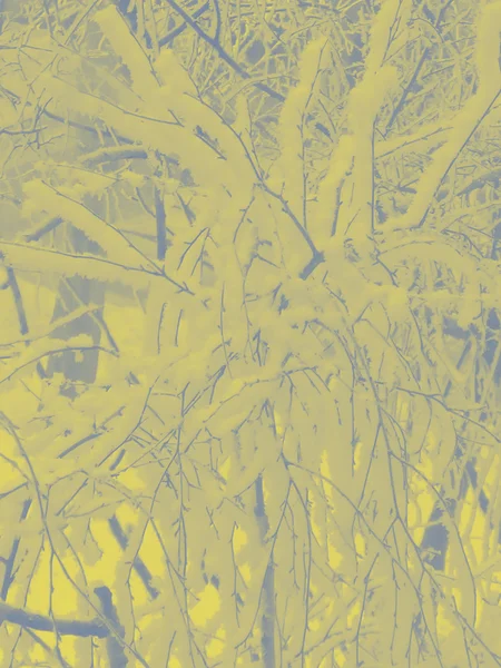 Παστέλ κίτρινο gradiented δέντρο κλαδιά φόντο — Φωτογραφία Αρχείου