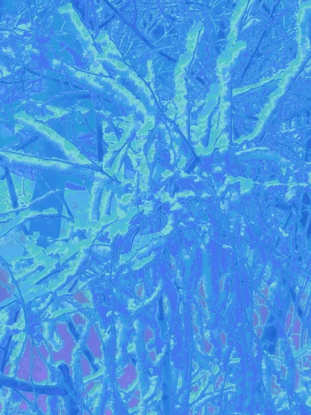 Rumore blu gradiente albero rami sfondo — Foto Stock