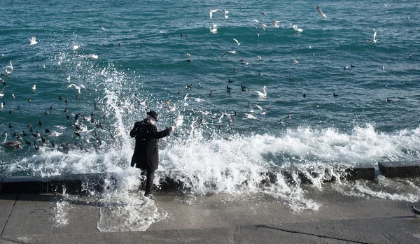 A férfi öltöny, a madarak, takarmány volt fröccsent a nagy tengeri hullám. — Stock Fotó
