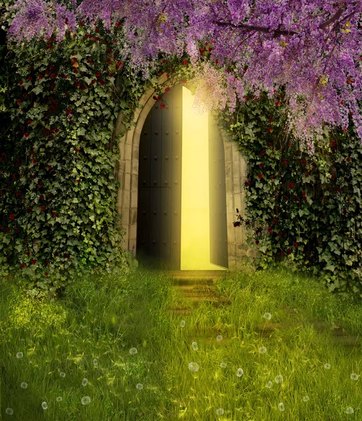 Фантастическая дверь — стоковое фото