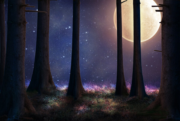 Tall trees of a forest illuminated with a big full moon