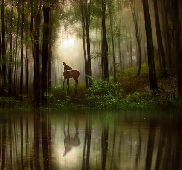 Fantasia fawn em uma floresta selvagem — Fotografia de Stock