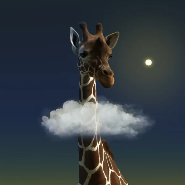 Sladký žirafa — Stock fotografie