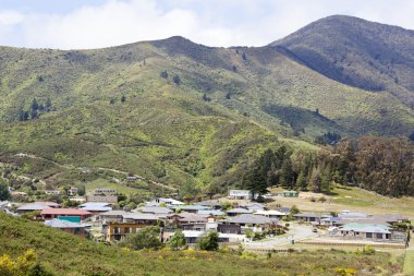 Yeni Zelanda/Schaffhausen