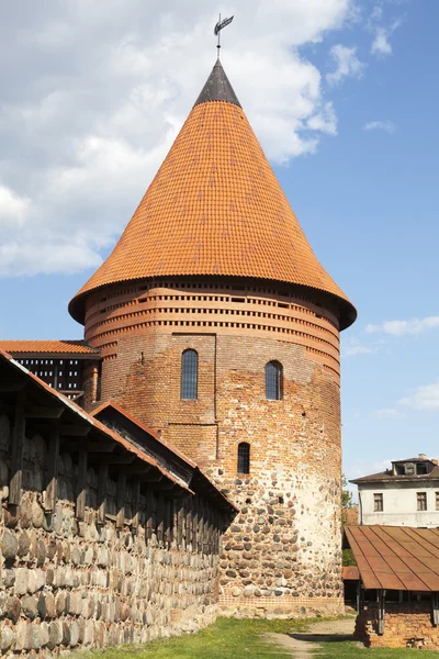 Château historique de Kaunas — Photo