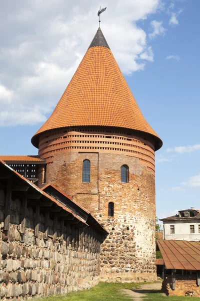 Castelo Histórico de Kaunas — Fotografia de Stock