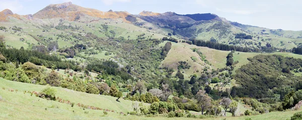 New Zealand's Countryside Panorama — Stock Photo, Image