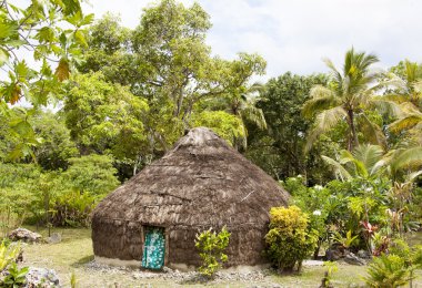 Pasifik adasında hut