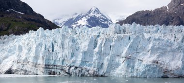 Alaskan buzul Panorama