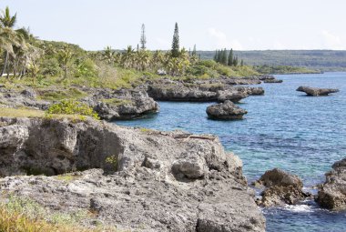 Yeni Kaledonya'nın Adası