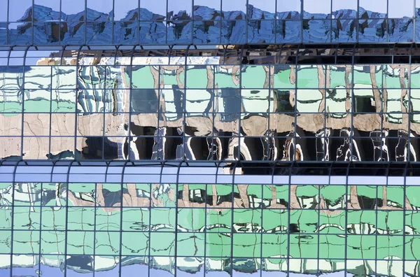 Vancouver's gebouw reflecties — Stockfoto