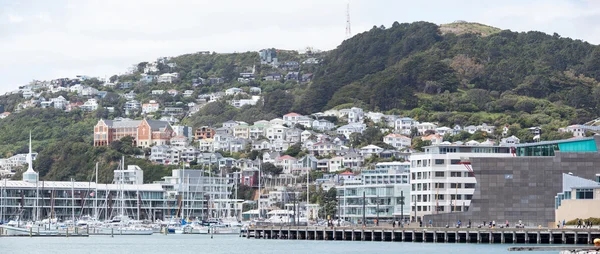 Mount Victoria Panorama — Stock Photo, Image