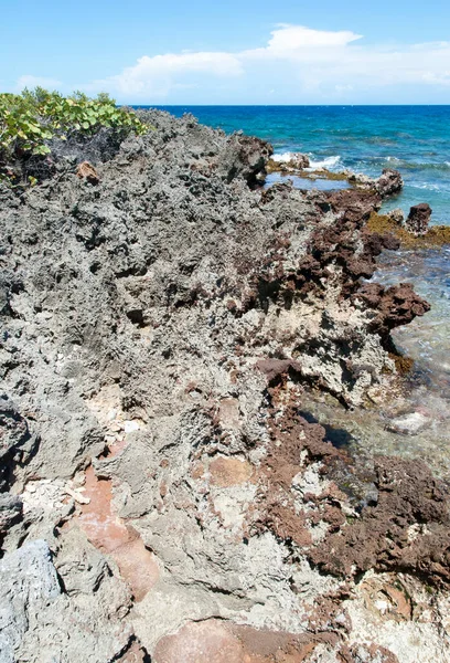Eroded Rocky Sharp Coastline Roatan Tourist Island Honduras — Stock Photo, Image