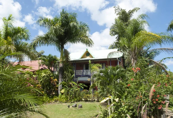 Lush Tropical Garden Residential House Jamaica Countryside — Stock Photo, Image