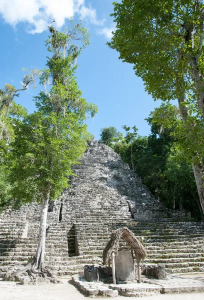 Die Mayapyramide Die Archäologische Stätte Coba Mexiko — Stockfoto