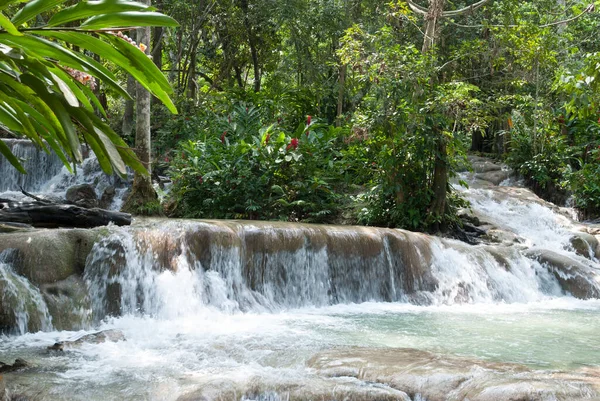 Scenic View Shallow River Waterfalls Ocho Rios Resort Town Jamaica — Stock Photo, Image