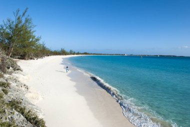 Issız bir adadaki vahşi bir sahil manzarası Yarım Ay Koyu (Bahamalar)).