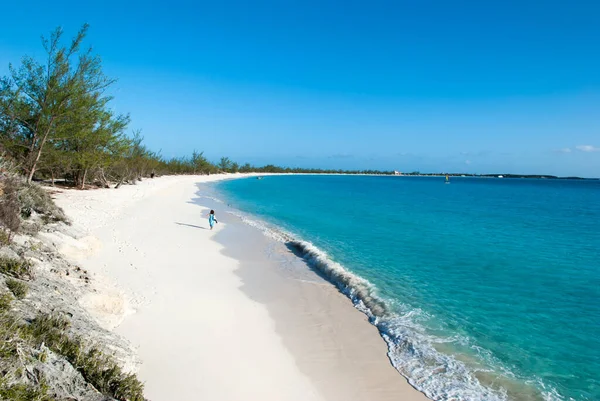 Issız bir adadaki vahşi bir sahil manzarası Yarım Ay Koyu (Bahamalar)).