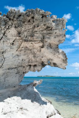 Büyük Türk adasının (Türkler ve Caicos Adaları) kıyısında aşınmış bir kaya parçası).