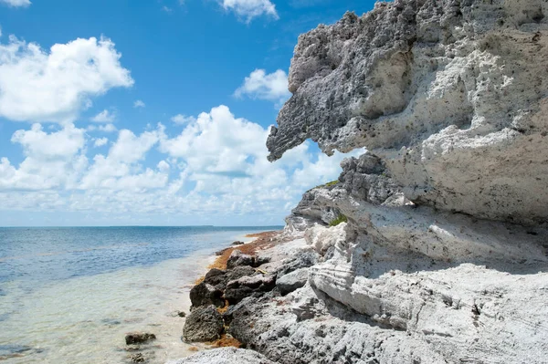 Asılı kaya manzarası, Büyük Türk adasındaki aşınmış kıyı şeridi (Türkler ve Caicos Adaları)).