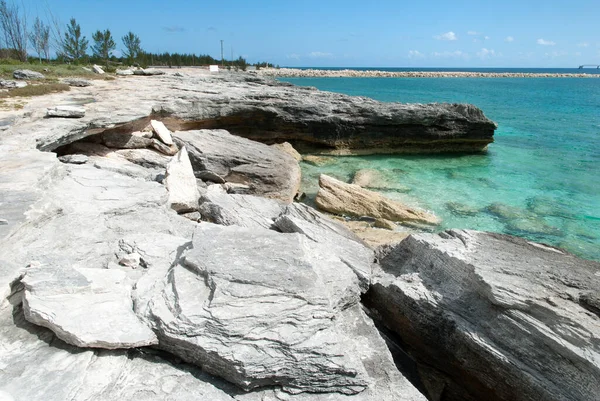 Het Uitzicht Een Gebroken Landschap Het Uitgesleten Strand Grand Bahama — Stockfoto