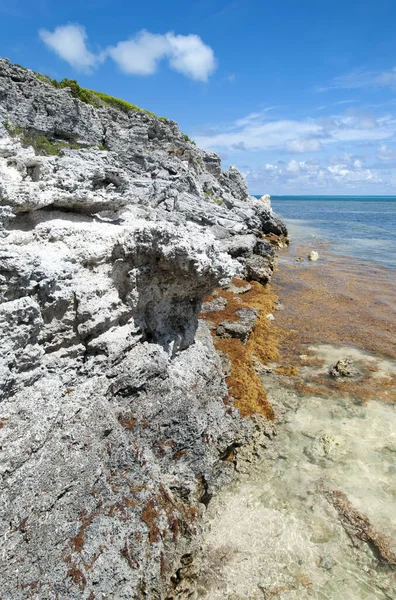 Geërodeerde Rotskust Het Water Met Algen Het Strand Van Grand — Stockfoto