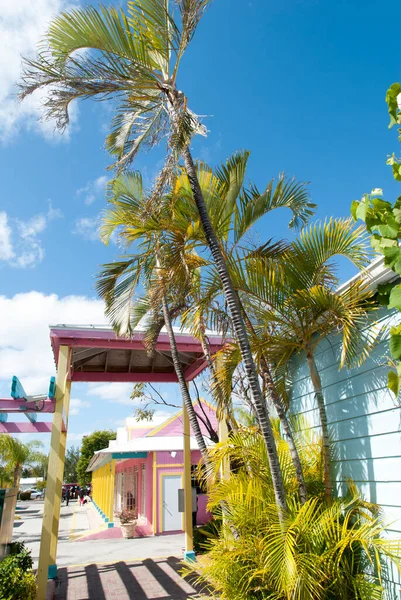 Palmiers Penchés Dans Notre Lucaya Quartier Touristique Freeport Sur Île — Photo