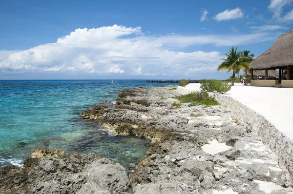 Renkli Sular Kayalık Kıyılar Cozumel Adası Sahilindeki Geleneksel Restoran Meksika — Stok fotoğraf