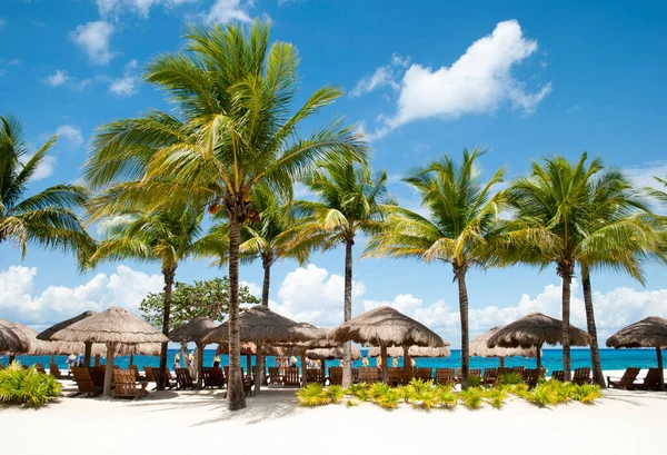 Cozumel Adası 'ndaki (Meksika) saman şemsiyeli ve palmiye ağaçlı turist sahili manzarası).