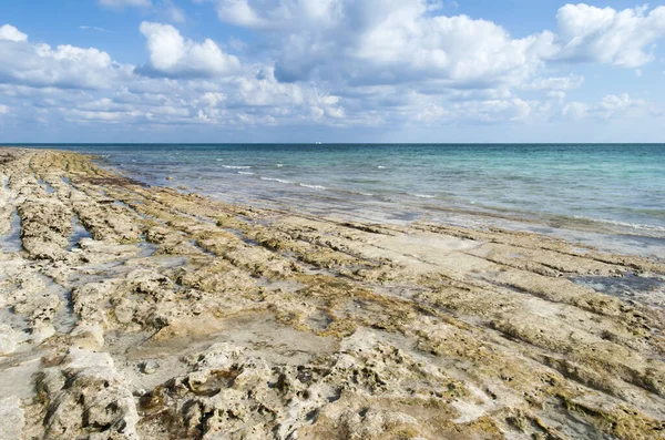 Rocky Beach View Low Tide Grand Bahama Island — Stock Photo, Image