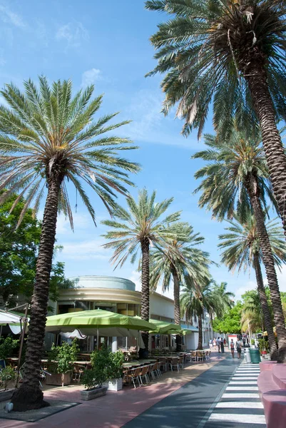 Strada Pedonale Circondata Palme Miami South Beach Florida — Foto Stock