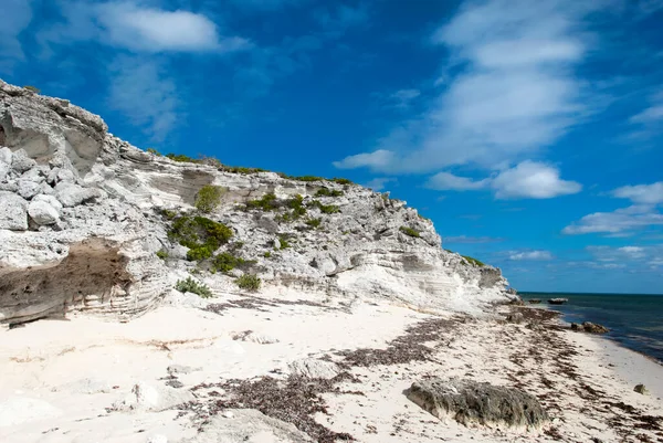 大ターク島の空のビーチと藻と浸食された岩の壁 タークスとカイコス諸島 — ストック写真