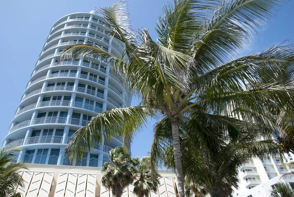 Vue Sur Les Palmiers Les Gratte Ciel Miami South Beach — Photo