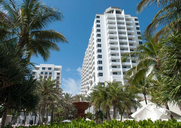 Widok Alei Palm Fontanną Środku Miami South Beach Floryda — Zdjęcie stockowe