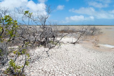 The dry land on a shore of lagoon on Grand Turk island (Turks and Caicos Islands).