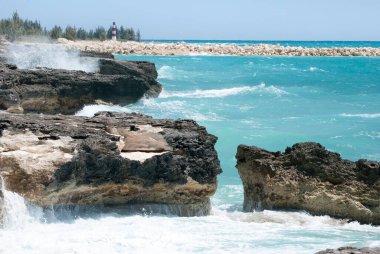 Büyük dalgalar Grand Bahama adasındaki aşınmış kayalık kıyılara vuruyor.. 