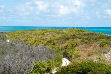 Büyük Türk adasındaki (Türkler ve Caicos adaları) kırsal bir yolun tepesinden manzara).