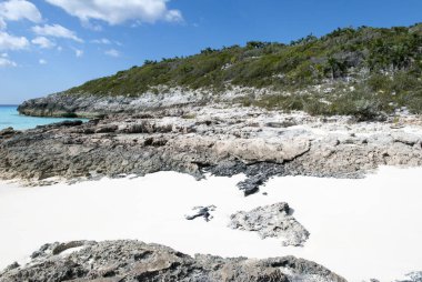 Half Moon Cay 'deki kumsal ve kayalık sahil manzarası ıssız bir ada (Bahamalar)).
