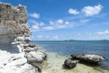 Turks ve Caicos Adaları 'ndaki Büyük Türk adasındaki aşınmış kaya manzarası).