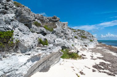 Büyük Türk adası sahili alçak gelgit sırasında alglerle kaplıdır (Türkler ve Caicos Adaları).