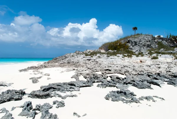 Vista Panorâmica Uma Praia Rochosa Vazia Half Moon Cay Ilha — Fotografia de Stock