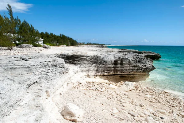 Pequena Praia Ilha Grand Bahama Costa Íngreme Rochosa — Fotografia de Stock