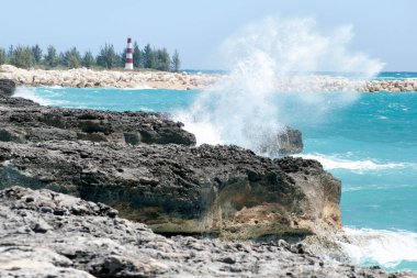 Aşınmış Grand Bahama adasının sahil şeridine vuran bir dalga manzarası ve arka planda bir deniz feneri..